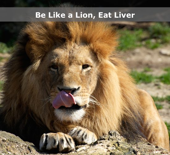 Be Like A Lion, Eat Liver